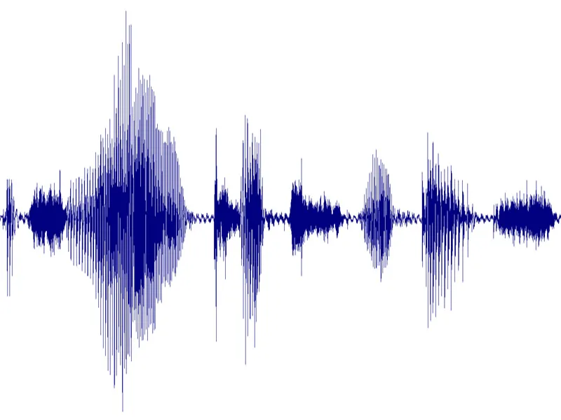 Human speech shown as a sound signal